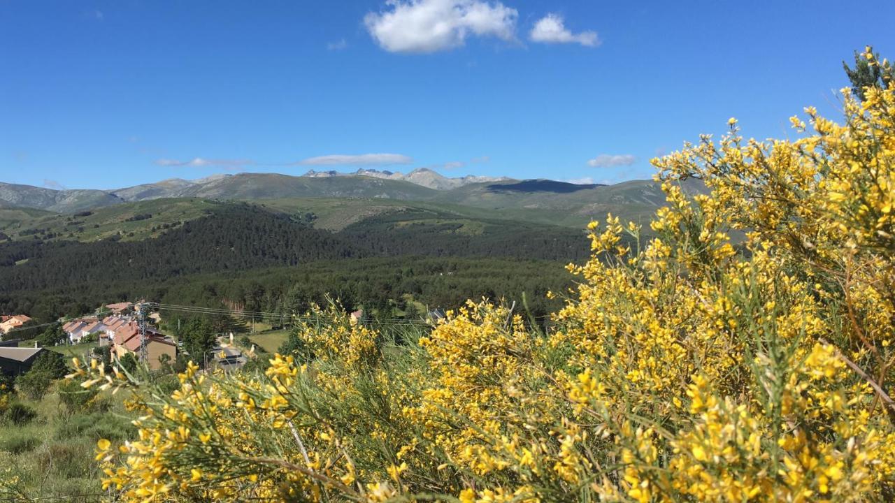 Cara Norte De Gredos Hoyos del Espino Εξωτερικό φωτογραφία