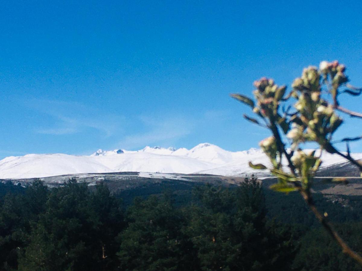 Cara Norte De Gredos Hoyos del Espino Εξωτερικό φωτογραφία